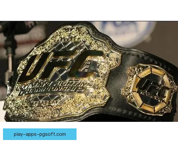 UFC比分大揭秘：解读胜负背后的精彩战术