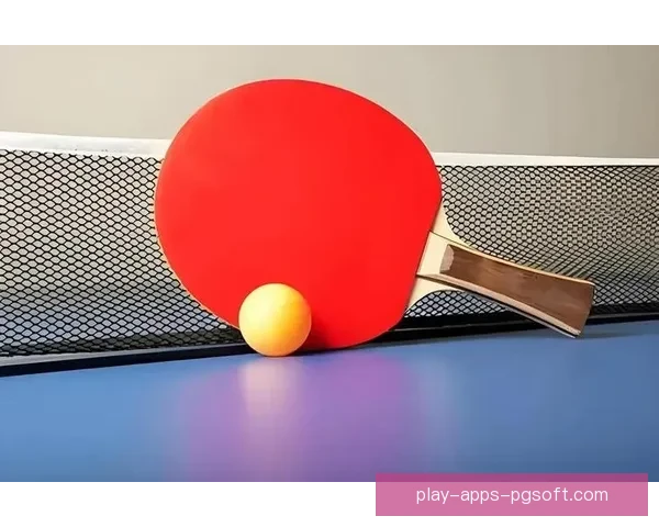 乒乓球世界纪录大揭秘，让你惊叹的乒乓球神奇纪录