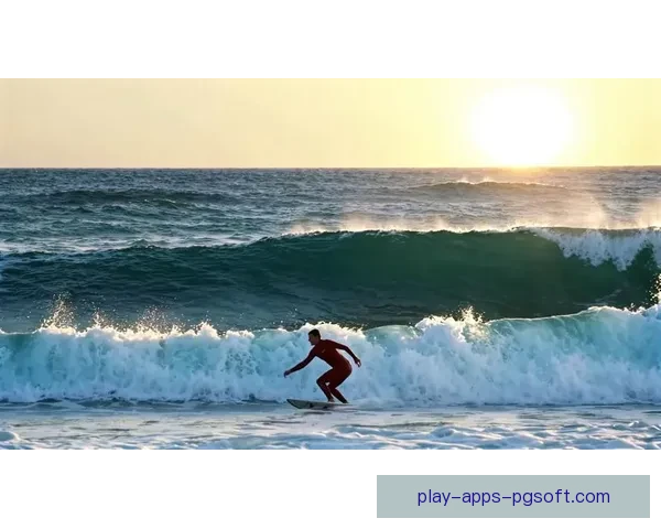 学会冲浪，挑战海浪乐趣