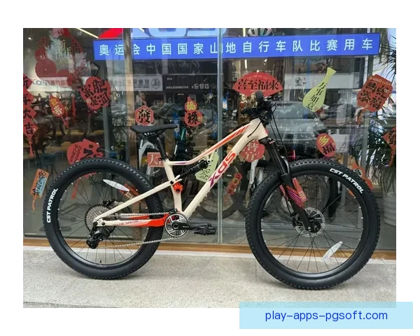 山地车世界纪录大揭秘：速度、技艺、勇气谁是最强者？