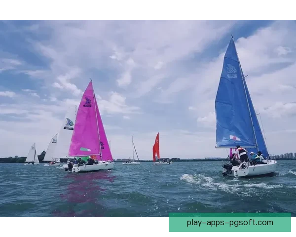 帆船杯赛：风起云涌，挑战极限