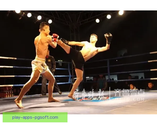 拳击盛宴：挥拳风暴，搏击擂台，世界拳王之争