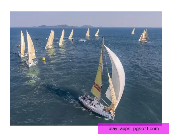 帆船史诗：扬帆远航，探寻历史航迹