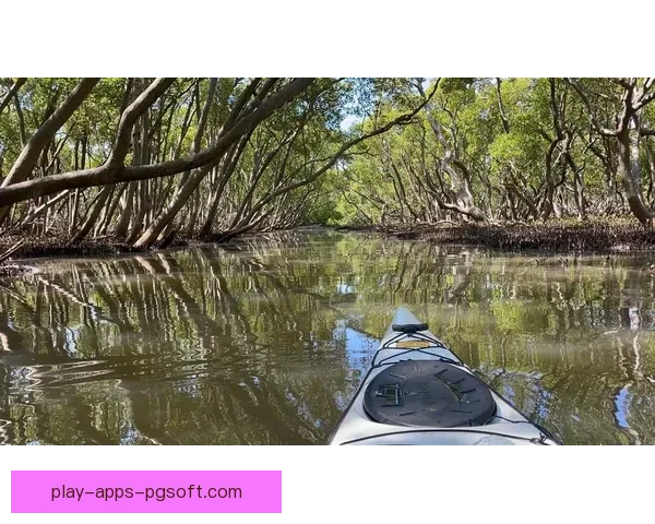 探险之旅：皮划艇探索未知水域