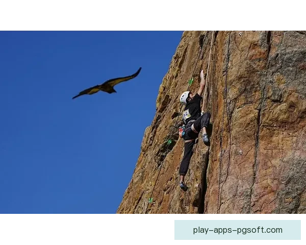 攀岩赛事预测：探讨挑战与技巧，看悬垂之势谁能胜出