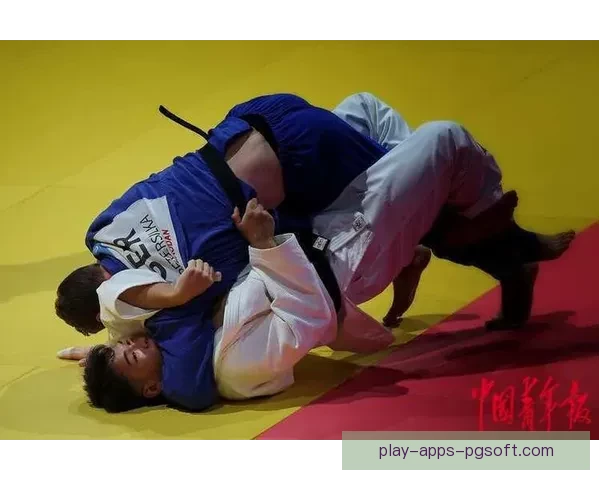 柔道锦标赛：拼搏与荣耀