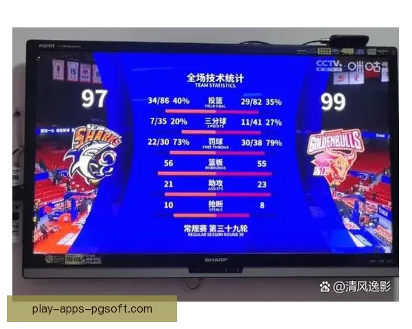 棒球联赛：实时排名、赛程及战绩统计