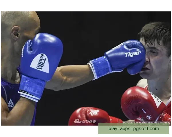激情回顾：拳击壮观瞬间回放