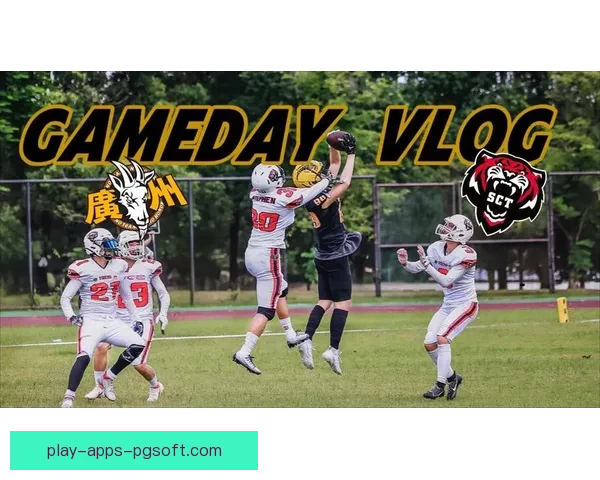 橄榄球公开赛：热血角逐，荣耀赛场