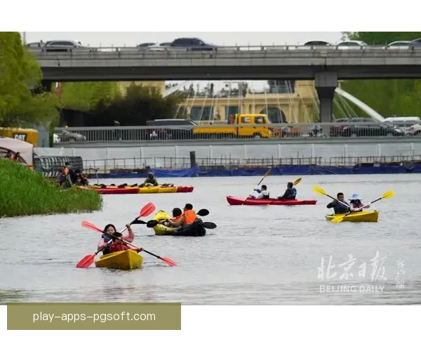 畅谈赛艇：探索水上运动中的精彩世界
