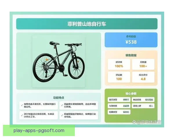 自行车排名解析及比较分析详解