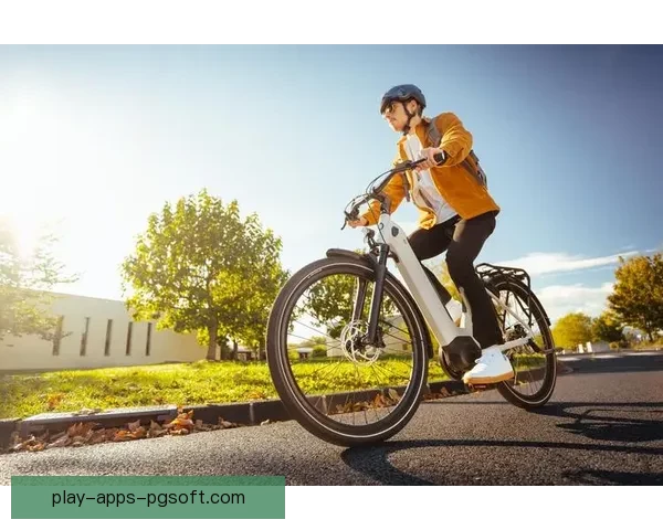 自行车积分榜：骑行风云，竞速之巅