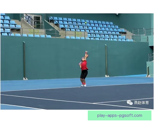 网球积分排名及赛事情报大揭秘