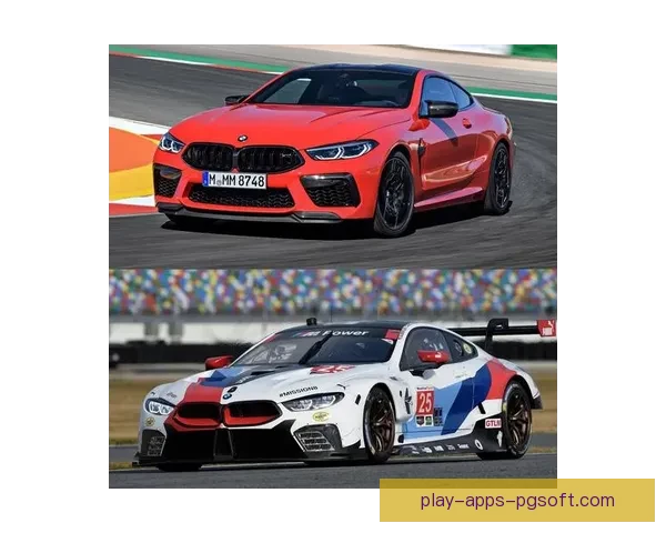 速度与激情：全球顶级赛车赛程一览