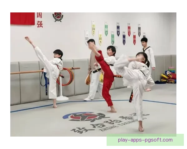 跆拳道训练方法解析与实践分享