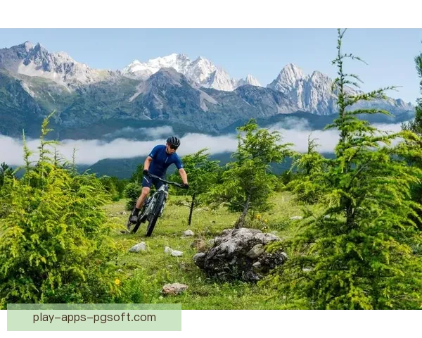 骑行极速：挑战自行车比赛的极限速度