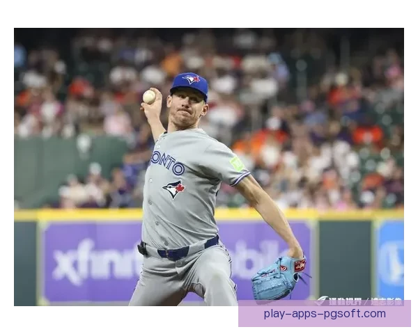 重返巅峰：挑战棒球王者，争夺冠军之路