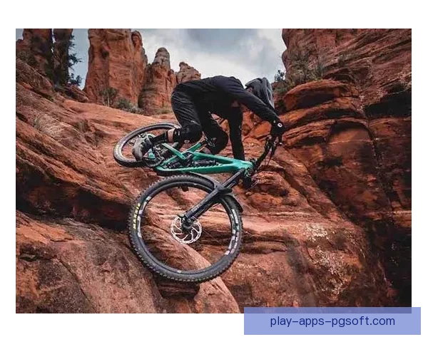 高效自行车训练计划：挑战极限，提升速度